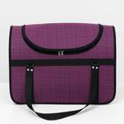 Сумка - переноска для животных, 49×30×35 см, с люком, цвет МИКС - Фото 2