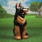 Садовая фигура "Овчарка", коричнево-чёрный цвет, керамика, 40 см - Фото 2