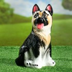 Садовая фигура "Овчарка", чёрно-белая, 30 см - Фото 1