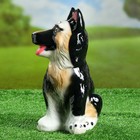 Садовая фигура "Овчарка", чёрно-белая, 30 см - Фото 2