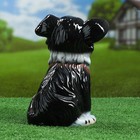 Садовая фигура "Собака Джек", разноцветная, 27 см - Фото 3