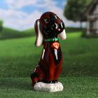 Садовая фигура "Собака Риччи", коричневый цвет, керамика, 32 см, микс - Фото 4