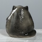 Копилка "Кот с сердцем", покрытие глазурь, серая, 16 см - Фото 3
