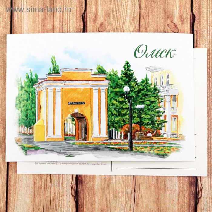 Открытка на дизайнерском картоне «Омск. Тарские ворота», иллюстрация художника - Фото 1