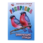 Раскраска "Зимующие птицы", серия Первые уроки - Фото 1