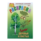 Раскраска Первые уроки "Деревья и листья" - Фото 1