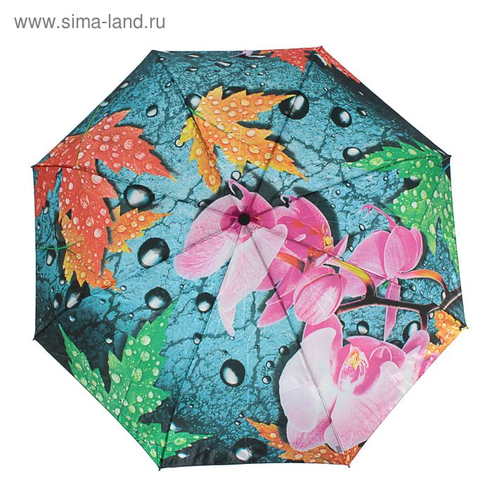 Зонт автоматический "Орхидея и листья", R=53см, разноцветный - Фото 1