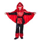 Карнавальный костюм "Паутинка", р-р 30, рост 110-116 см, цвет красно-чёрный - Фото 1