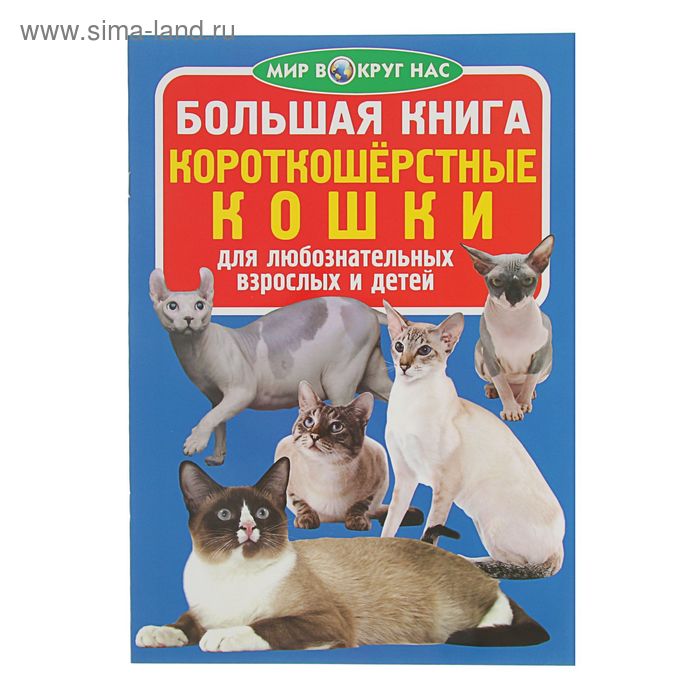 Большая книга. Короткошерстные кошки - Фото 1