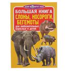 Большая книга «Слоны, носороги, бегемоты» - Фото 1