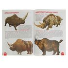 Большая книга «Слоны, носороги, бегемоты» - Фото 2