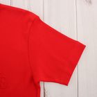 Футболка мужская арт.5161, цвет красный, р-р XL - Фото 4
