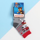 Носки детские PAW PATROL «Маршал», Щенячий патруль, 14-16 см - Фото 3