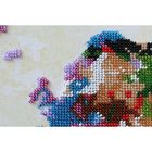 Набор для вышивки бисером на натуральном художественном холсте «Карта мира-2» - Фото 3