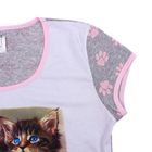 Пижама женская (футболка, бриджи) Два котенка 61 МИКС, принт Коты, р-р 50 - Фото 3