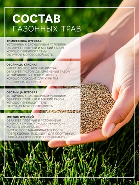 Газонная травосмесь «Мавританский», 100 г (комплект 2 шт)