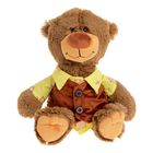 Мягкая игрушка "Медведь в одежде", цвет МИКС, 48 см - Фото 1