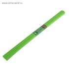 Бумага креповая поделочная гофро Koh-I-Noor 50 x 200 см 9755/17 светло-зелёный, в рулоне 2364445