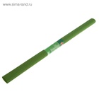 Бумага креповая поделочная гофро Koh-I-Noor 50 x 200 см 9755/20 оливковый, в рулоне 2364446