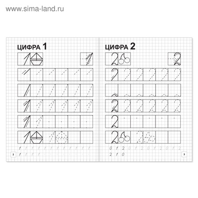 Прописи «Учим цифры», 20 стр.