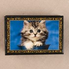 Шкатулка «Котёнок», 6×9 см, лаковая миниатюра - Фото 2