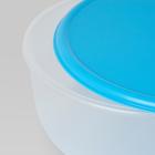 Набор контейнеров РЕДА, 5 шт, круглой формы, цвет синий / голубой - Фото 4