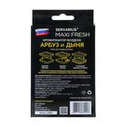 Ароматизатор MAXI FRESH под сиденье гель «АРБУЗ&ДЫНЯ» - фото 8320183