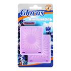 Секция от моли "Глорус-Антимоль", подвесная, с запахом лаванды, в блистере, 2 шт - Фото 2