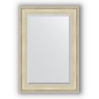Зеркало с фацетом в багетной раме - травленое серебро 95 мм, 68 х 98 см, Evoform - фото 6051101