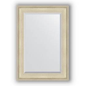 Зеркало с фацетом в багетной раме - травленое серебро 95 мм, 68 х 98 см, Evoform
