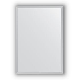 Зеркало в багетной раме - сталь 20 мм, 46 х 66 см, Evoform