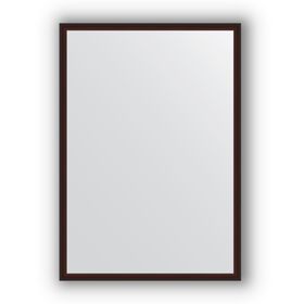 Зеркало в багетной раме - махагон 22 мм, 48 х 68 см, Evoform