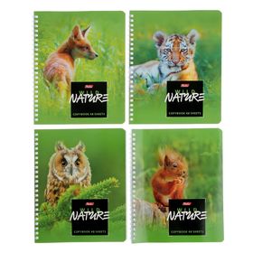 Тетрадь 48 листов клетка на гребне Wild Nature, картонная обложка, МИКС 2373270