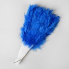 Веер пуховой, 25 см, цвет голубой - Фото 2