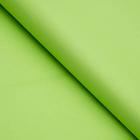 Бумага цветная тишью шёлковая, 510 х 760 мм, Sadipal, 1 лист, 17 г/м2, зелёная - Фото 2