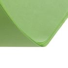 Бумага цветная тишью шёлковая, 510 х 760 мм, Sadipal, 1 лист, 17 г/м2, зелёная - Фото 5
