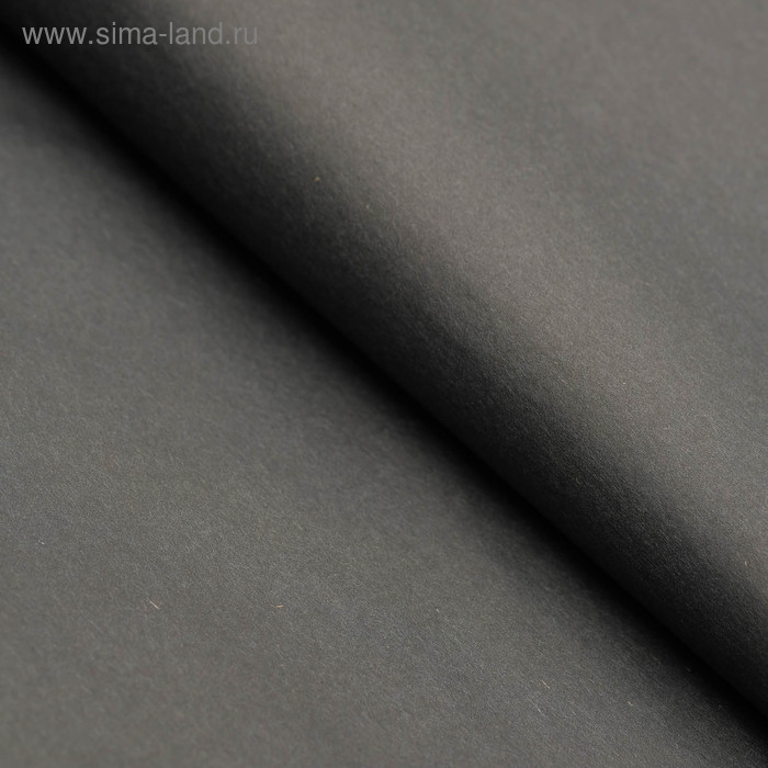 Бумага цветная, Тишью (шёлковая), 510 х 760 мм, Sadipal, 1 лист, 17 г/м2, чёрный - Фото 1