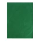Бумага цветная тишью шёлковая, 510 х 760 мм, Sadipal, 1 лист, 17 г/м2, тёмно-зелёная - Фото 3