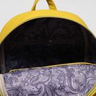 Рюкзак на молнии, 1 отдел, 2 наружных кармана, цвет жёлтый - Фото 5