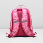Рюкзак школьный на молнии, 2 отдела, 2 наружных кармана, цвет голубой/розовый - Фото 3