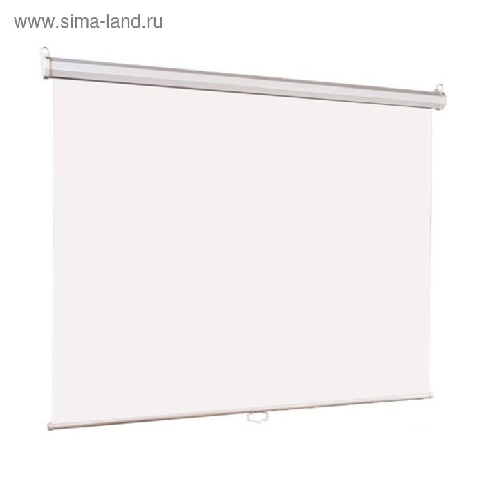 Экран Lumien 180x180 Eco Picture LEP-100102 1:1, настенно-потолочный, рулонный
