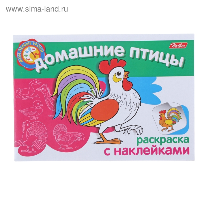 Раскраска с наклейками «Мои первые уроки. Домашние птицы» - Фото 1