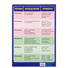 Обучающий плакат А3 "Синонимы, антонимы, омонимы, омофоны" - Фото 1