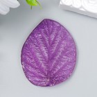 Молд пластик st-0179 "Лист малины" 4,5х6 см МИКС - Фото 2