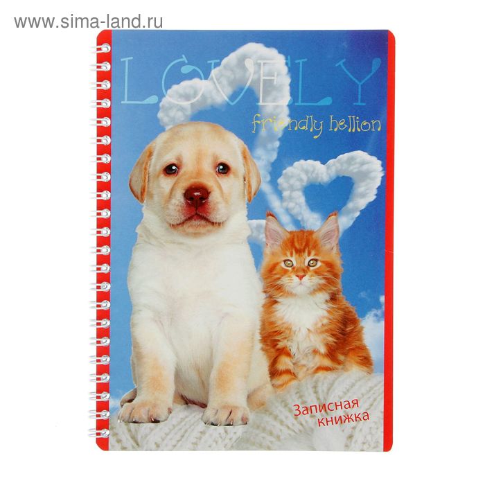 Записная книжка А5, 40 листов на гребне "Рыжий котёнок. Белый щенок", клетка - Фото 1