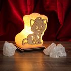 Соляной светильник "Кот" малый 12 х 12 х 6 см, деревянный декор - Фото 1
