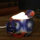 Соляной светильник "Синица" малый керамика, 7 х 10 х 15 см, микс - Фото 1
