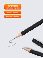 Набор карандашей чернографитных, 6 штук (14 В, 10 В, 8 В, 6 В, 4 В, 2 В) - Фото 2