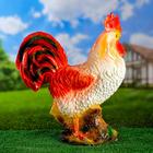 Садовая фигура "Петух" средний 45х18х52см  МИКС - Фото 5