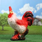 Садовая фигура "Петух" средний 45х18х52см  МИКС - Фото 4